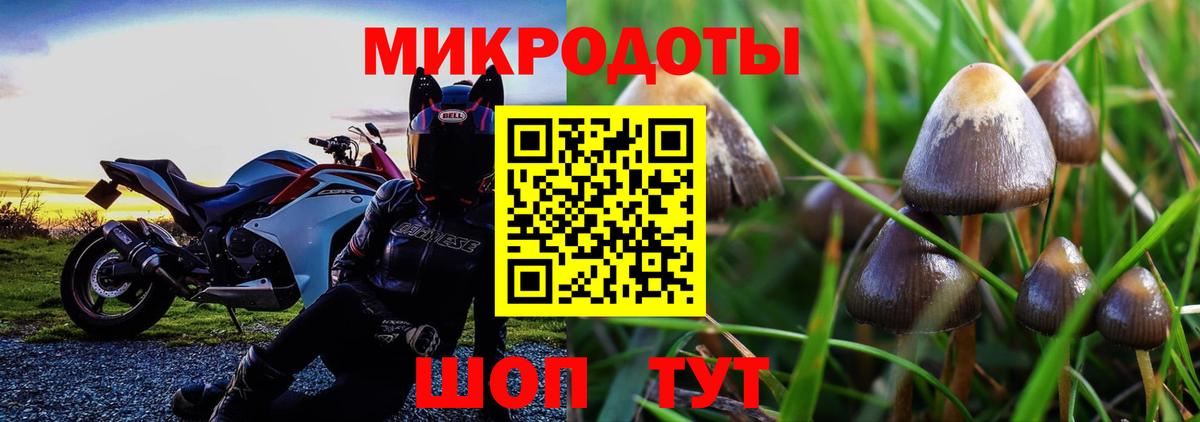 Усть-Джегута  Псилоцибиновые грибы Psilocybine cubensis  Вход с VPN  Галлюциногенные грибы MAGIC MUSHROOMS 